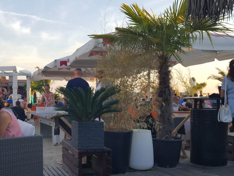 Gunnar – the cold pizza hater