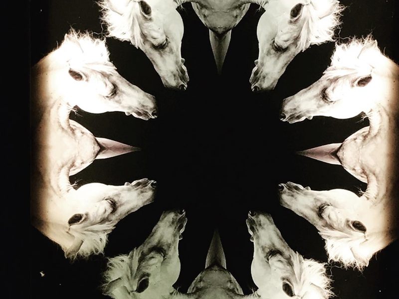 Reese II – Are we doing this?