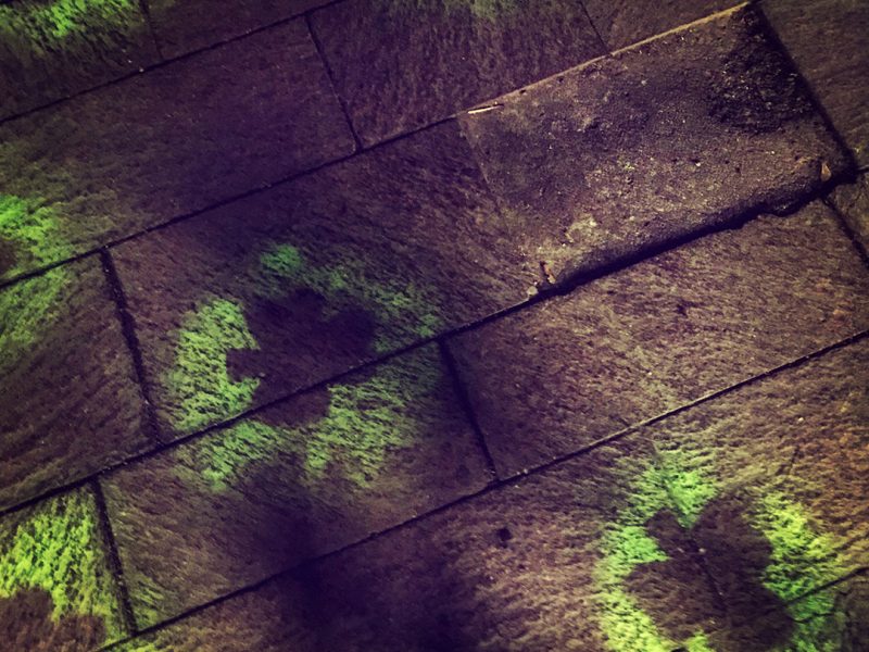 Ben – the perfect first husband