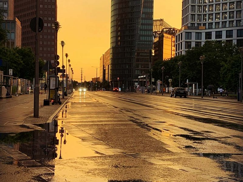 Ray – the walking disaster